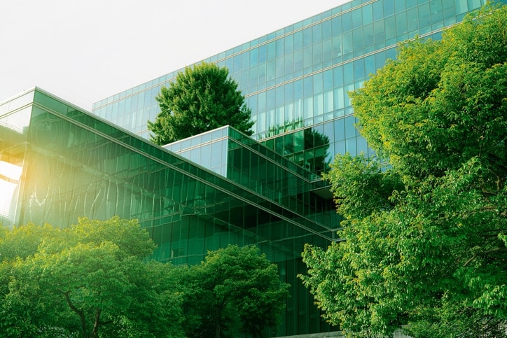 How CFOs can help meet Corporate ESG Goals